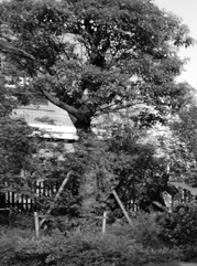 盐边注册公司